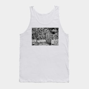 Termite Mounds 01 Tank Top